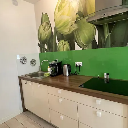 Home3city Tulipan Апартаменты *
